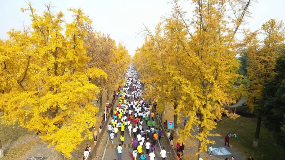 123d3d585bcc5054057c5c15c554baa2.jpg 123d3d585bcc5054057c5c15c554baa2.jpg